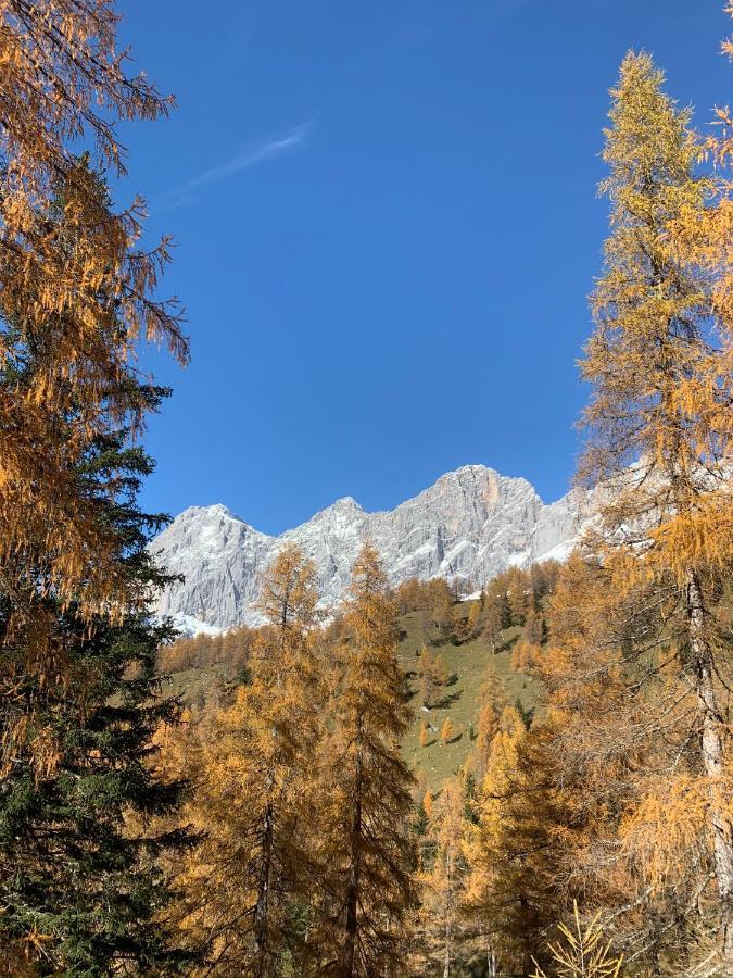 Aparthotel Das Hochkoenig Ramsau am Dachstein Εξωτερικό φωτογραφία